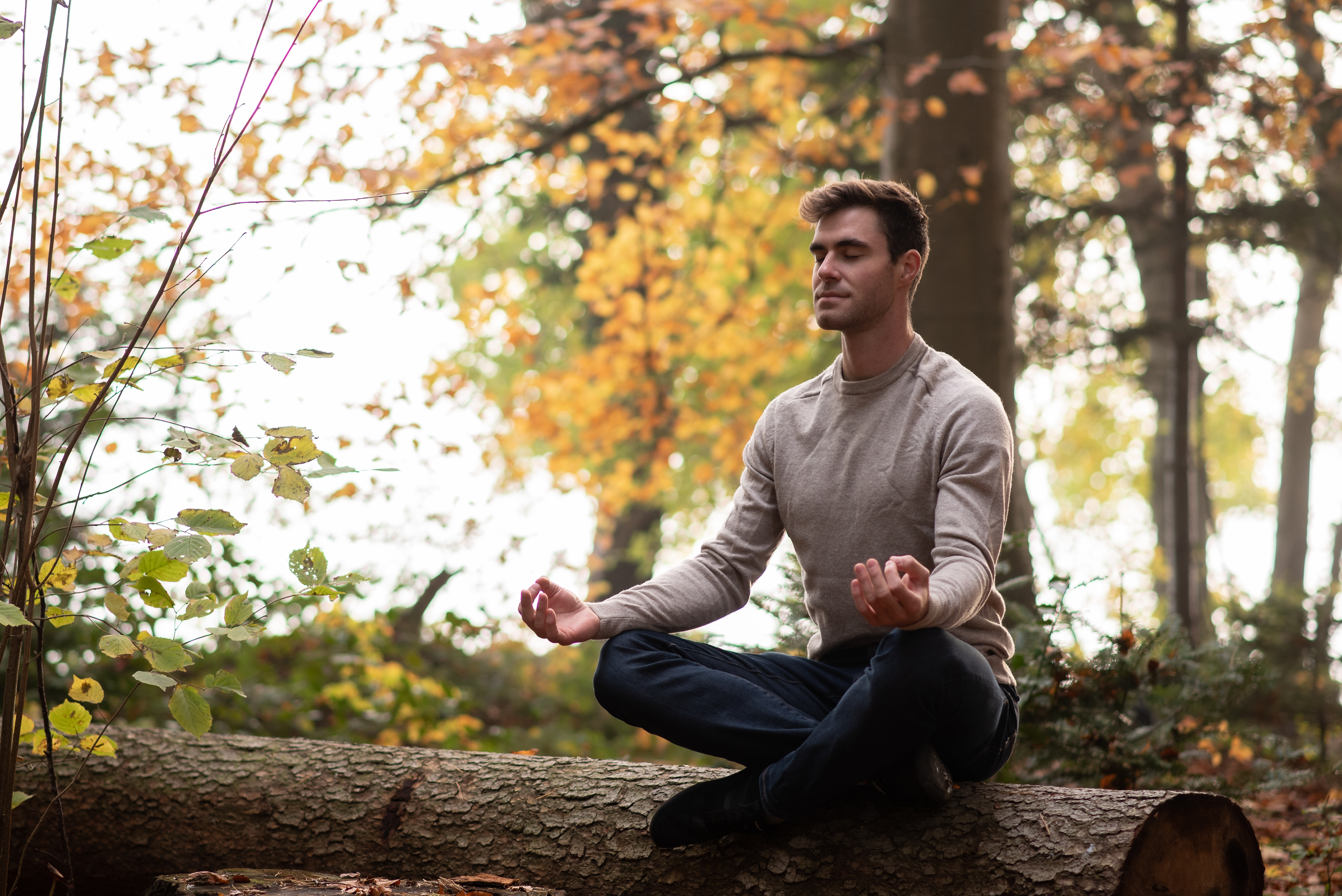 Live Meditationen am Abend